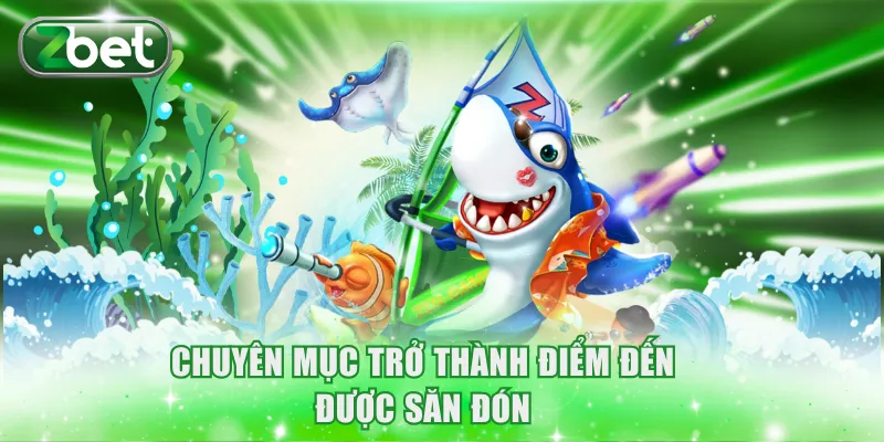 Chuyên mục trở thành điểm đến được săn đón