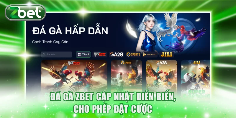 Đá Gà ZBET 1 Đá gà ZBET cập nhật diễn biến, cho phép đặt cược
