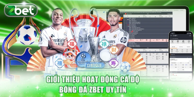 Cá Độ Bóng Đá ZBET Uy Tín, Tốc Độ Thanh Toán Siêu Tốc 2 Giới thiệu hoạt động cá độ bóng đá ZBET uy tín