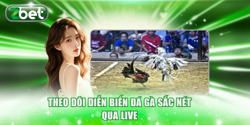 Đá Gà ZBET 2 Theo dõi diễn biến đá gà sắc nét qua live