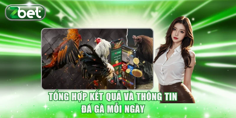 Đá Gà ZBET 3 Tổng hợp kết quả và thông tin đá gà mỗi ngày